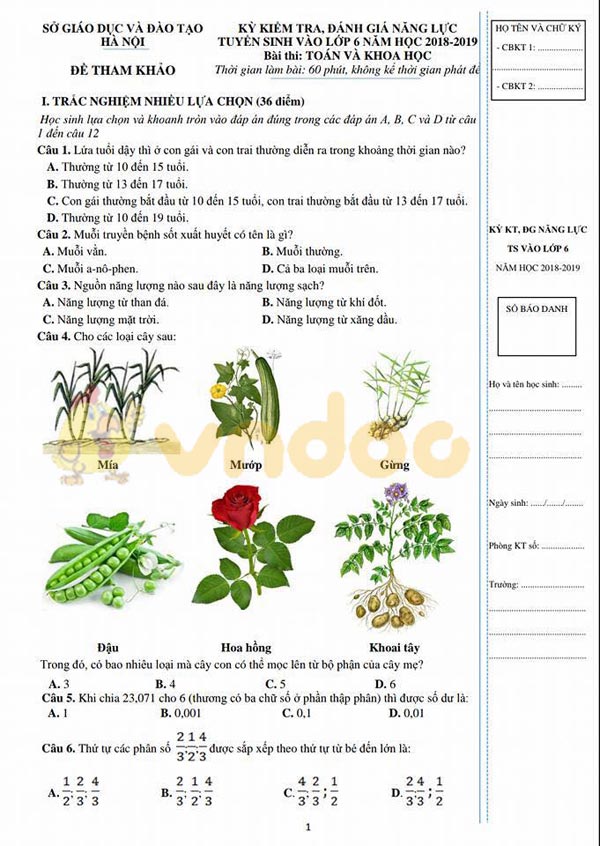 Môn Toán và Khoa học TP Hà Nội năm 2018-2019