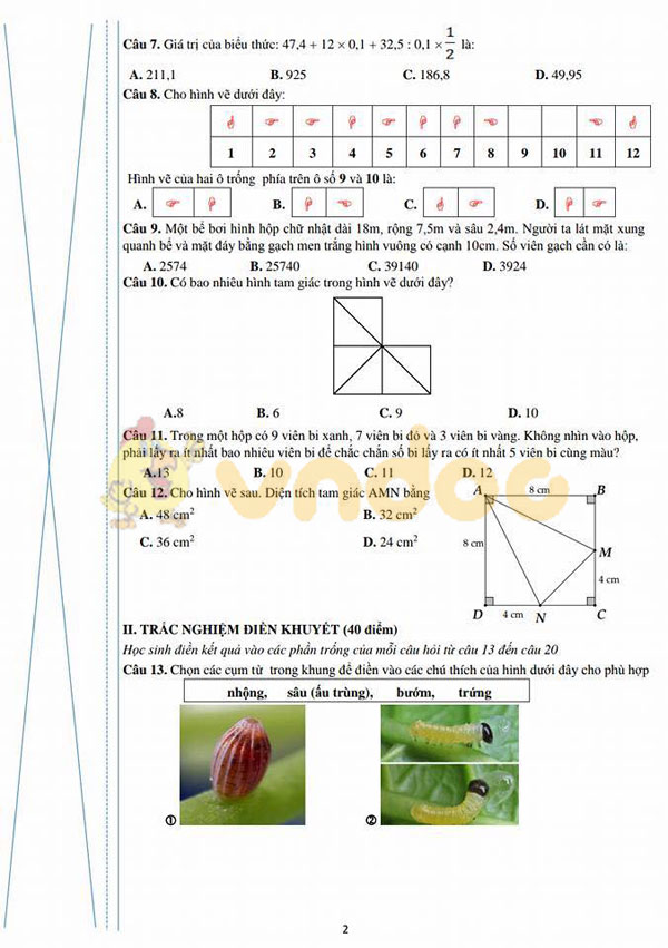 Môn Toán và Khoa học TP Hà Nội năm 2018-2019