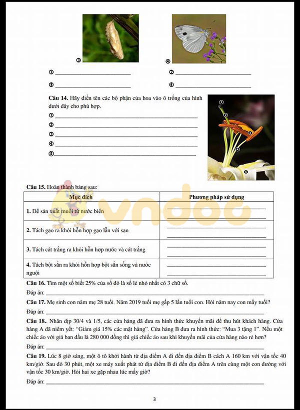 Môn Toán và Khoa học TP Hà Nội năm 2018-2019