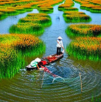 Những bài thơ hay về đất nước Việt Nam