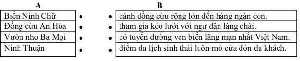 Đề thi giữa học kì 2 môn Tiếng Việt lớp 4