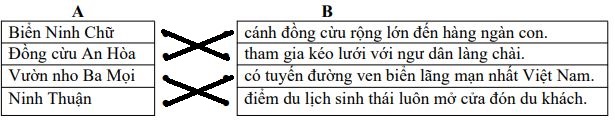 Đề thi giữa học kì 2 môn Tiếng Việt lớp 4