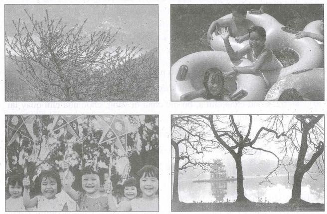 Bài tập nâng cao Tiếng Việt 2 - Tuần 20: Tập làm văn