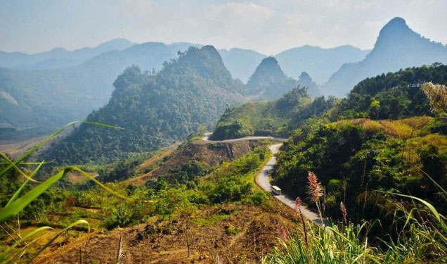 Miêu tả vẻ đẹp của núi rừng quê hương em