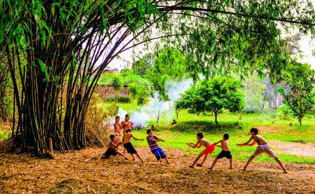 Thuyết minh về cây tre