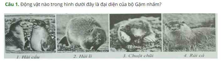 Đề kiểm tra Sinh học 7