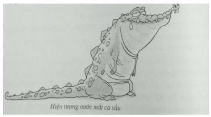 Đề kiểm tra Sinh học 7