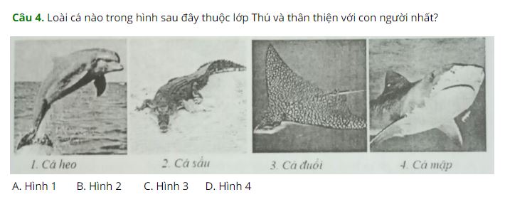 Đề kiểm tra Sinh học 7