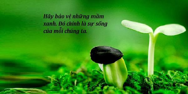 Hãy chứng minh rằng đời sống của chúng ta sẽ bị tổn hại rất lớn nếu mỗi người không có ý thức bảo vệ môi trường sống