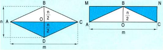  Hình thoi - Diện tích hình thoi