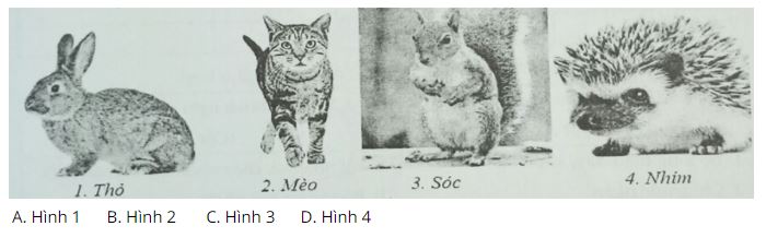 Đề kiểm tra Sinh học 7