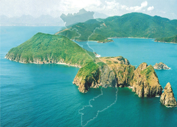 Trắc nghiệm IQ: Kiến thức tổng hợp