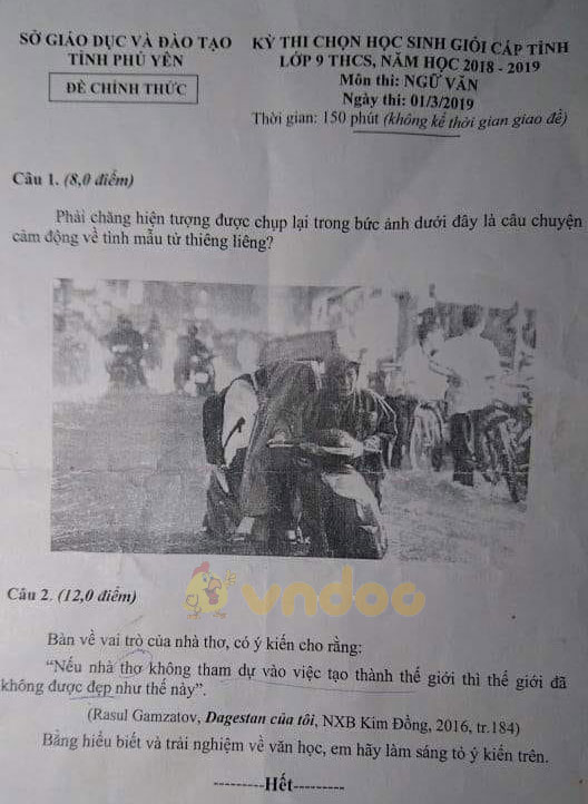 Đề thi chọn học sinh giỏi cấp tỉnh lớp 9 môn Ngữ văn Sở GD&ĐT tỉnh Phú Yên năm học 2018 - 2019