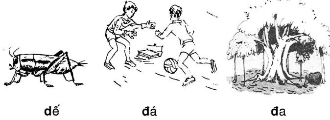 Giải vở bài tập Tiếng Việt 1 bài 14: d đ