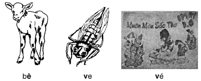 Giải vở bài tập Tiếng Việt 1 bài 7: ê V