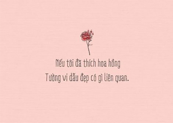 Trắc nghiệm truyện ngôn tình