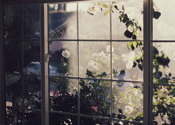 Trắc nghiệm truyện ngôn tình