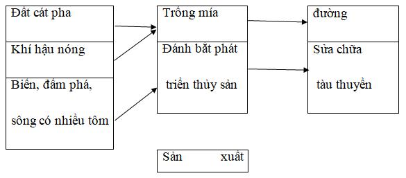 Giải Vở bài tập Địa lí lớp 4 bài 26