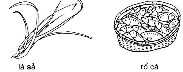 Giải vở bài tập Tiếng Việt 1 bài 19 s r