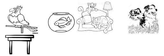 Bài tập tiếng Anh lớp 3 Unit 16: Do you have any pets?