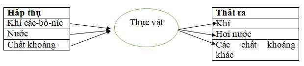 Giải Vở bài tập Khoa học lớp 4 bài 61