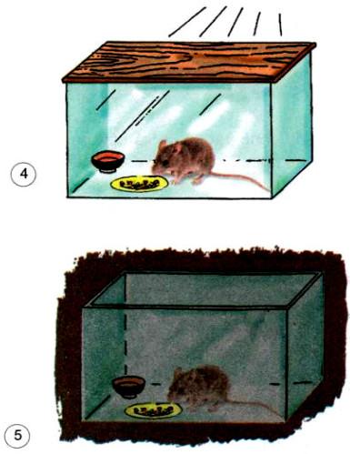 Giải Vở bài tập Khoa học lớp 4 bài 62