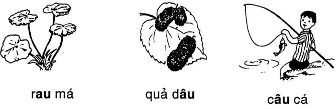 Giải vở bài tập Tiếng Việt 1 bài 39: au âu