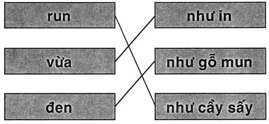 Giải vở bài tập Tiếng Việt 1 bài 48: in un