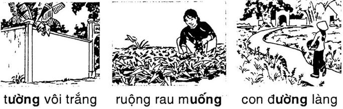 Giải vở bài tập Tiếng Việt 1 bài 56: uông ương