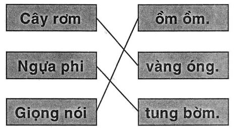 Giải vở bài tập Tiếng Việt 1 bài 62: Ôm Ơm