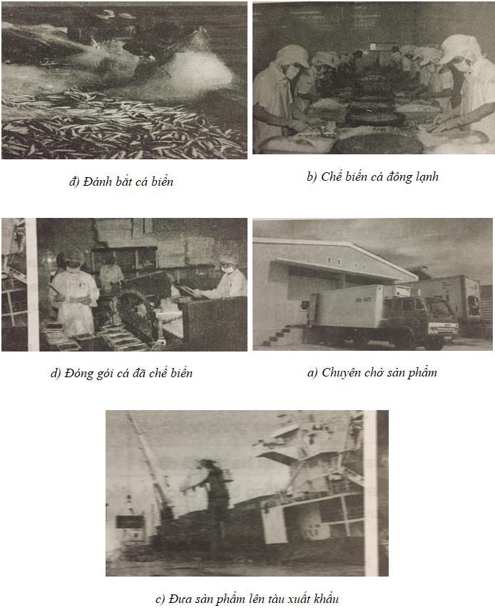 Giải Vở bài tập Địa lí lớp 4 bài 30