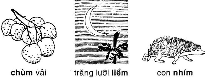 Giải vở bài tập Tiếng Việt 1 bài 67: Ôn tập