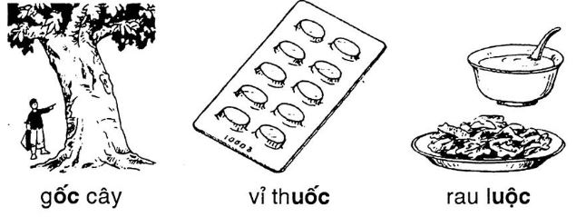 Giải vở bài tập Tiếng Việt 1 bài 79: ôc UÔC