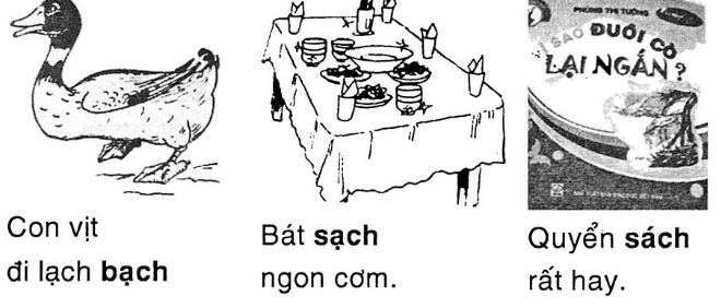 Giải vở bài tập Tiếng Việt 1 bài 81: ach