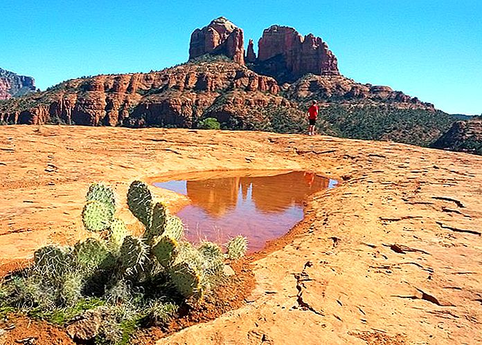 Câu đố kinh dị