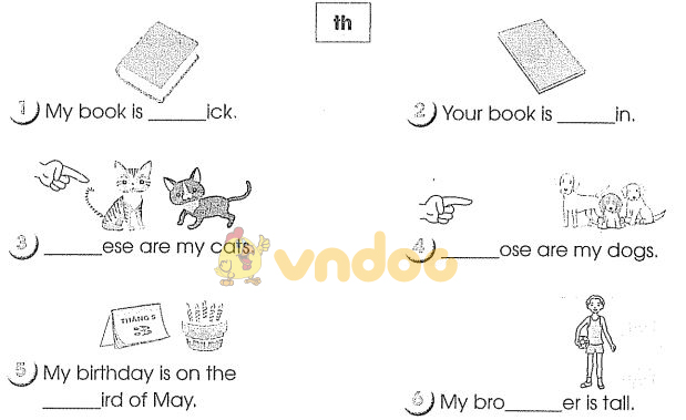 Bài tập tiếng Anh lớp 4 Unit 14 có đáp án