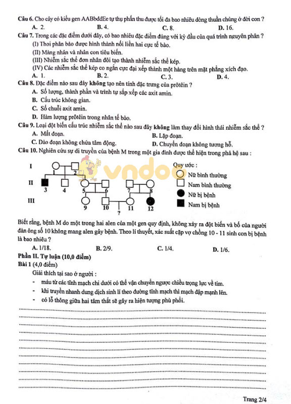 Đề thi chọn học sinh giỏi cấp thành phố lớp 9 Sinh học các môn Khoa học tự nhiên Sở GD&ĐT Hà Nội năm học 2018 - 2019