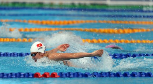 Kể về một trận thi đấu thể thao bơi lội