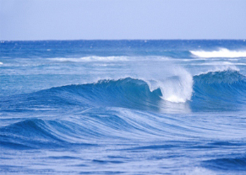 Trắc nghiệm IQ: Kiến thức tổng hợp