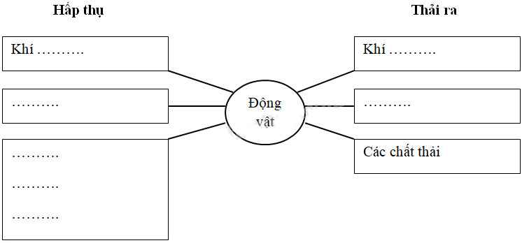 Giải Vở bài tập Khoa học lớp 4 bài 64