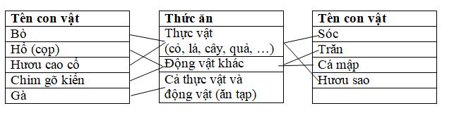 Giải Vở bài tập Khoa học lớp 4 bài 63