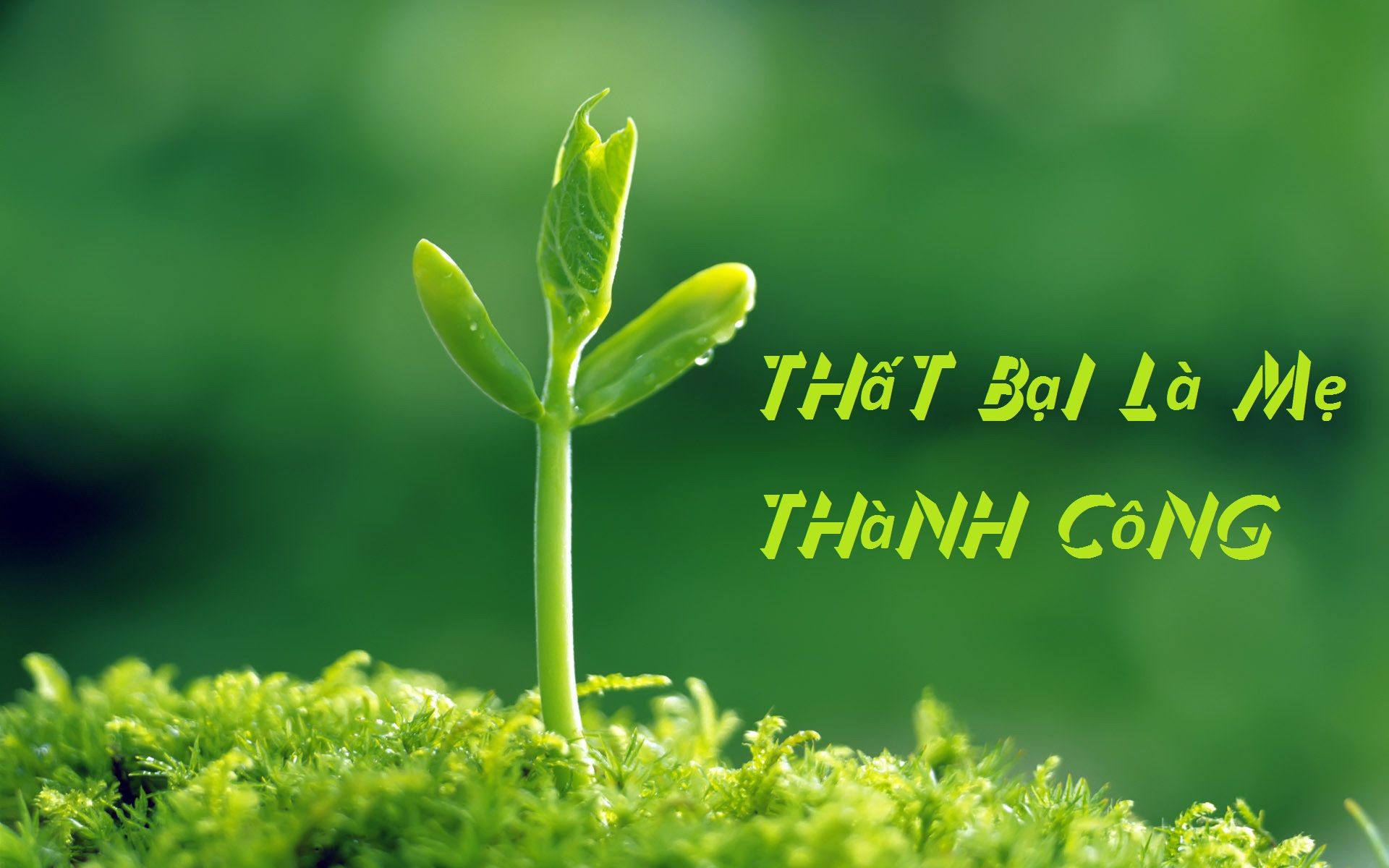 Trường em tổ chức một cuộc thi giải thích các câu tục ngữ