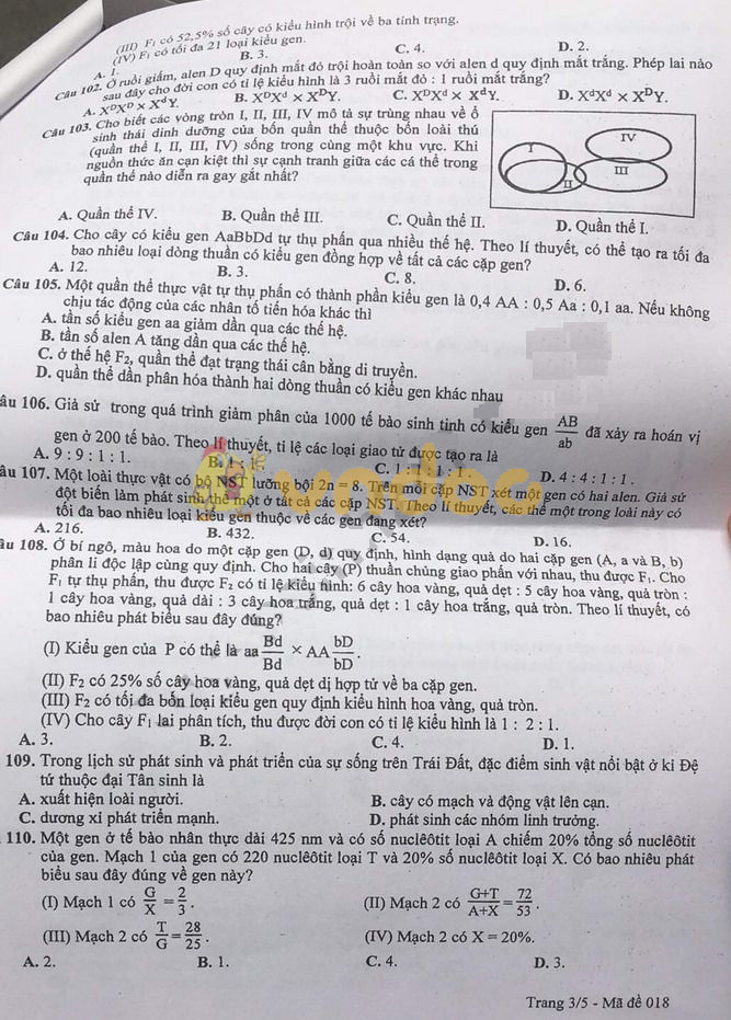 Đề thi thử THPT Quốc gia môn Sinh học năm 2019 Sở GD&ĐT Hà Nội