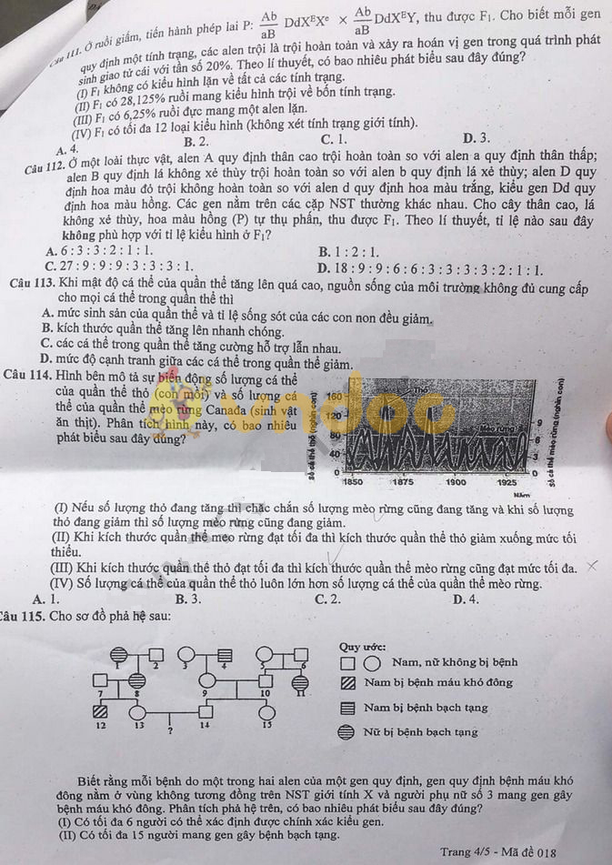 Đề thi thử THPT Quốc gia môn Sinh học năm 2019 Sở GD&ĐT Hà Nội