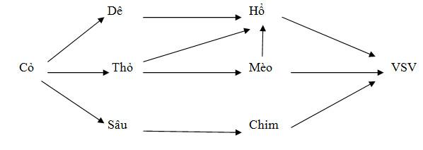 Đề thi học kì 2 lớp 9 môn Sinh học - Đề 15