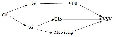Đề thi học kì 2 lớp 9 môn Sinh học - Đề 16