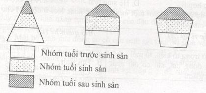 Đề thi học kì 2 lớp 9 môn Sinh học - Đề 16