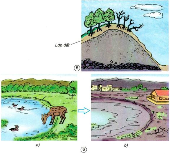 Giải Vở bài tập Khoa học lớp 5 bài 65