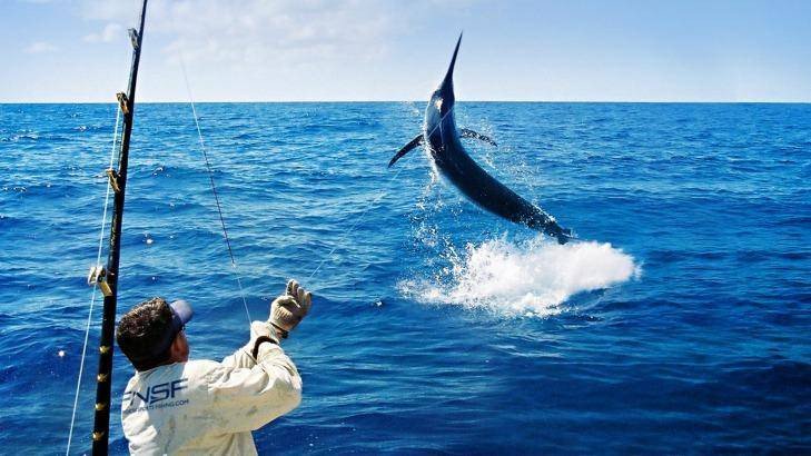  Hình ảnh con cá kiếm được thể hiện như thế nào trong đoạn trích Ông già và biển cả của O - nít Hê - minh - uê