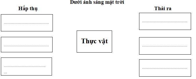 Đề thi học kì 2 môn Khoa học lớp 4